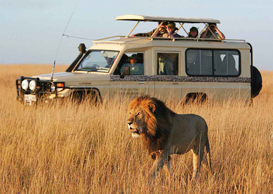 Al-Ikhlas Safari Landcruiser