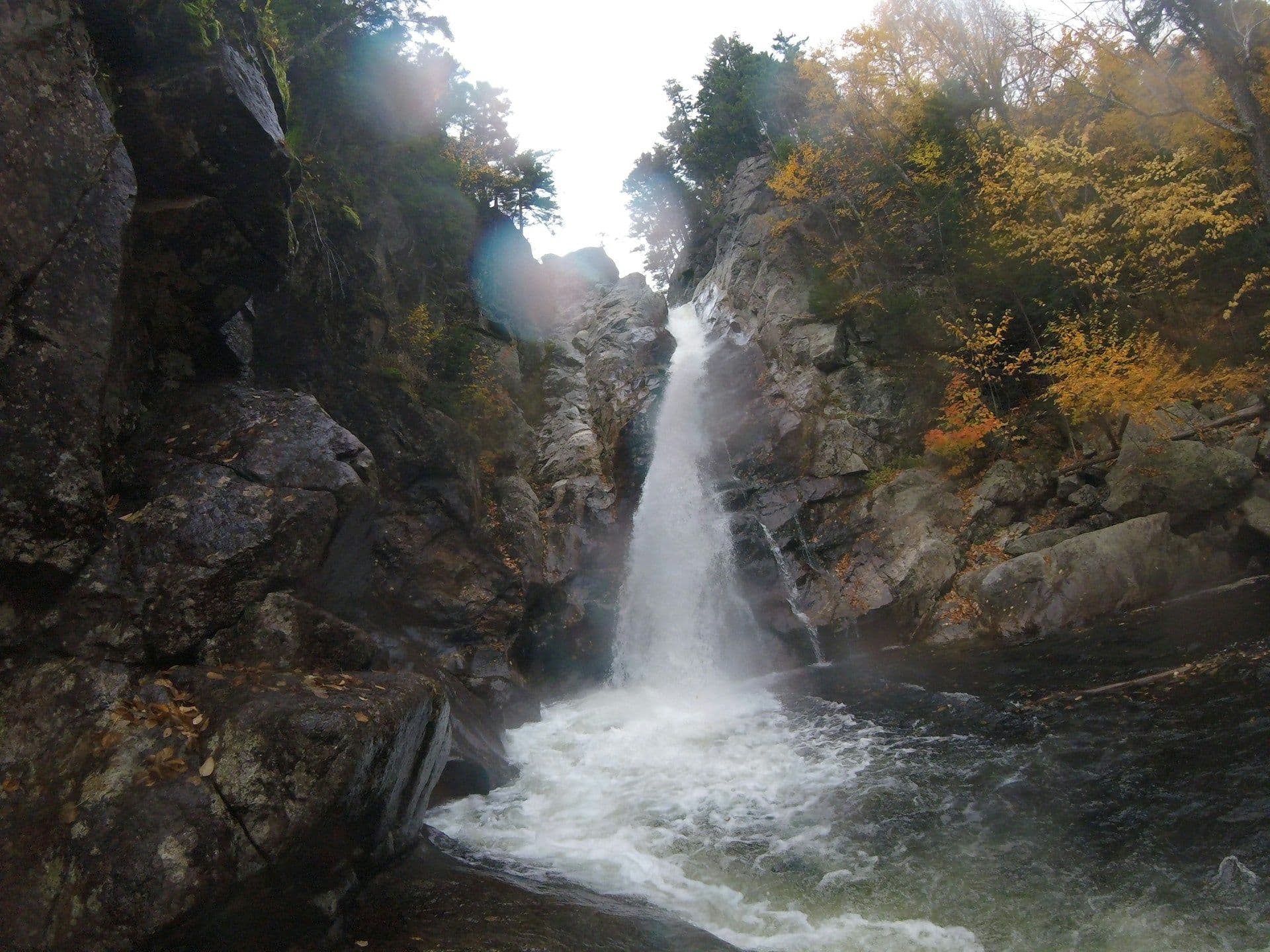 4-Day Murchison Falls & Rhino Tracking