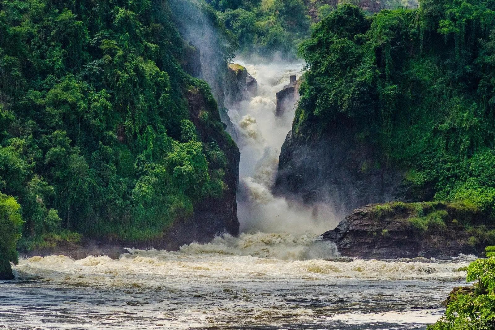 3-Day Murchison Falls & Ziwa Rhino Sanctuary